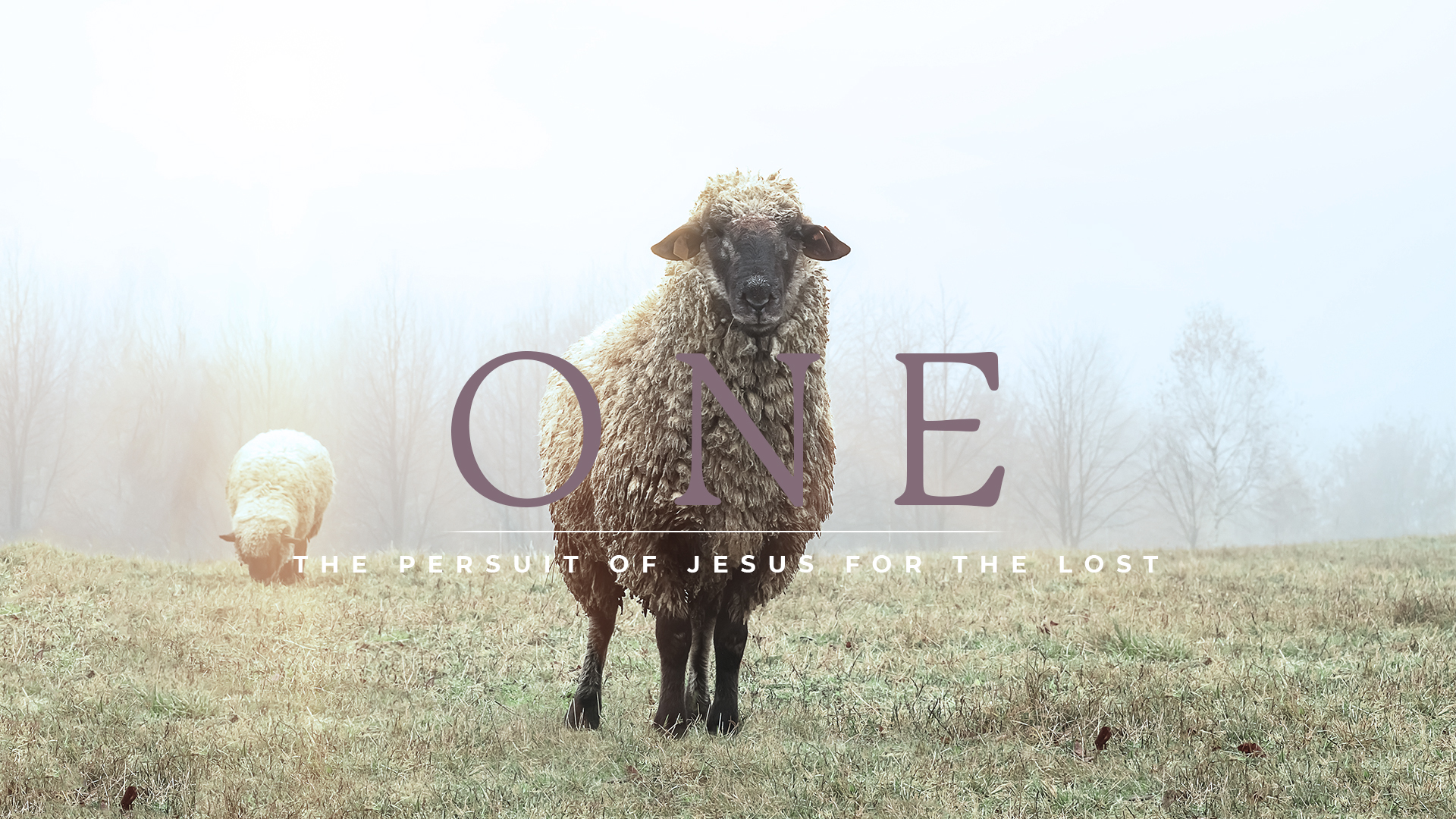 Mt Rainier Christian Center (MRCC)