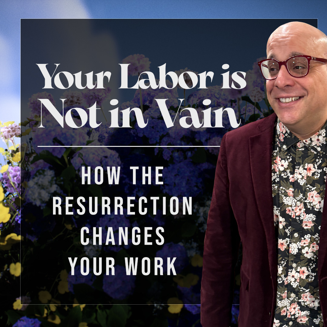 Your Labor Is Not In Vain | Raised to Life | Week 2 episode artwork