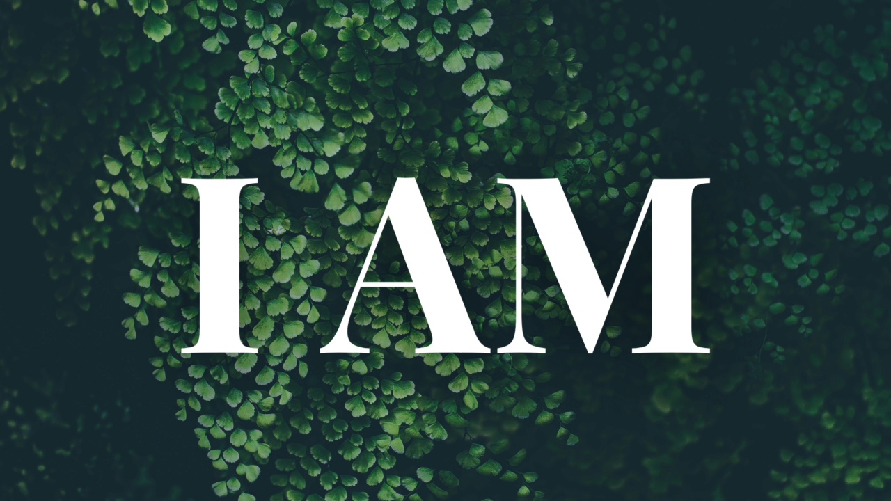 I AM- The Good Shepherd | Crosspoint Church