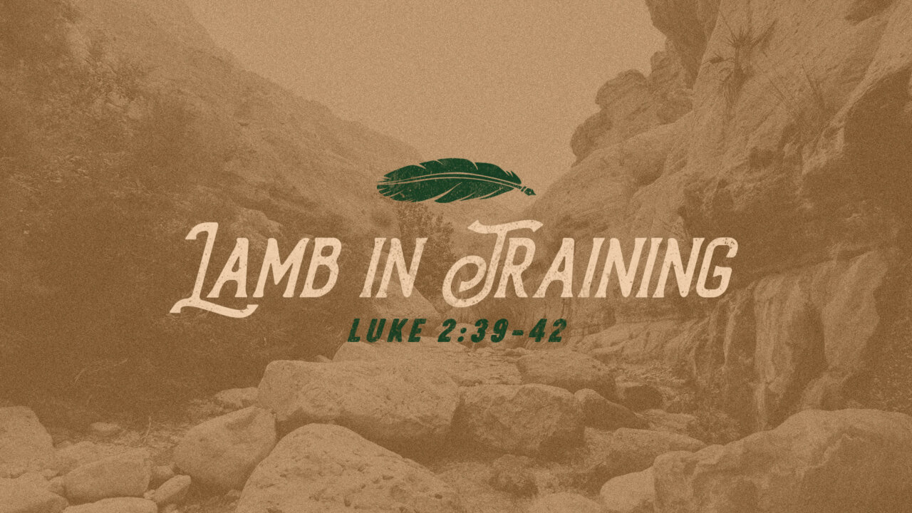 Lamb in Training | Calvary Chapel Longview