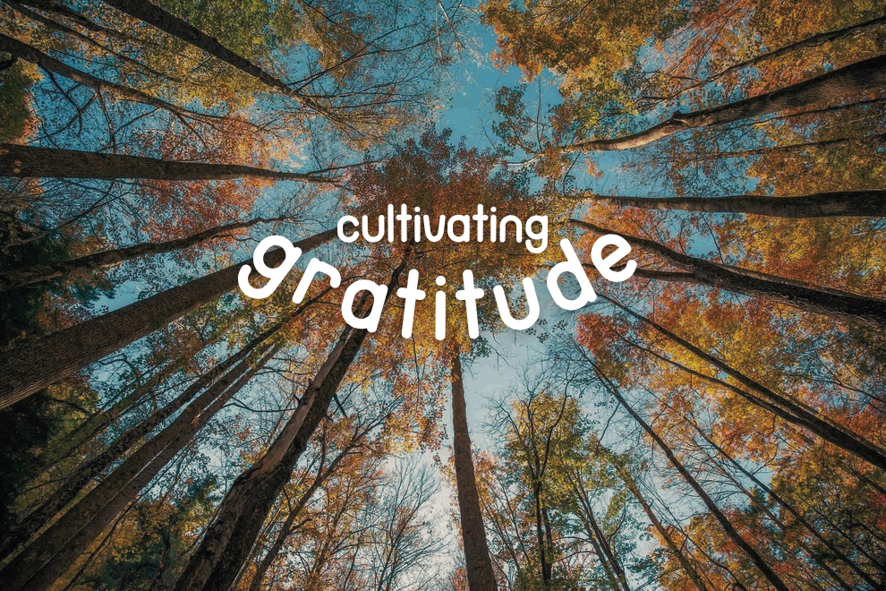 The Church as a Community of Lepers Made Whole (Cultivating Gratitude Part 3) episode artwork
