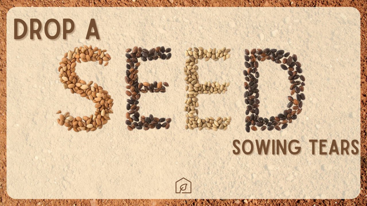 Drop a Seed - Sewing Tears | Wainfleet BIC