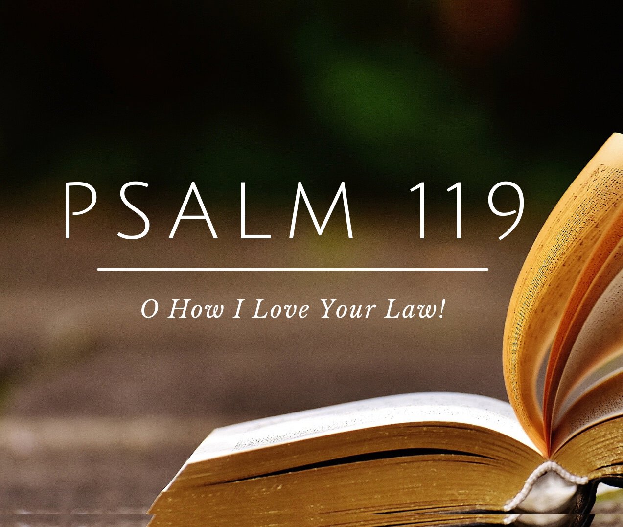 The ABCs of Psalm 119 (Part I) | West Allis Church of Christ