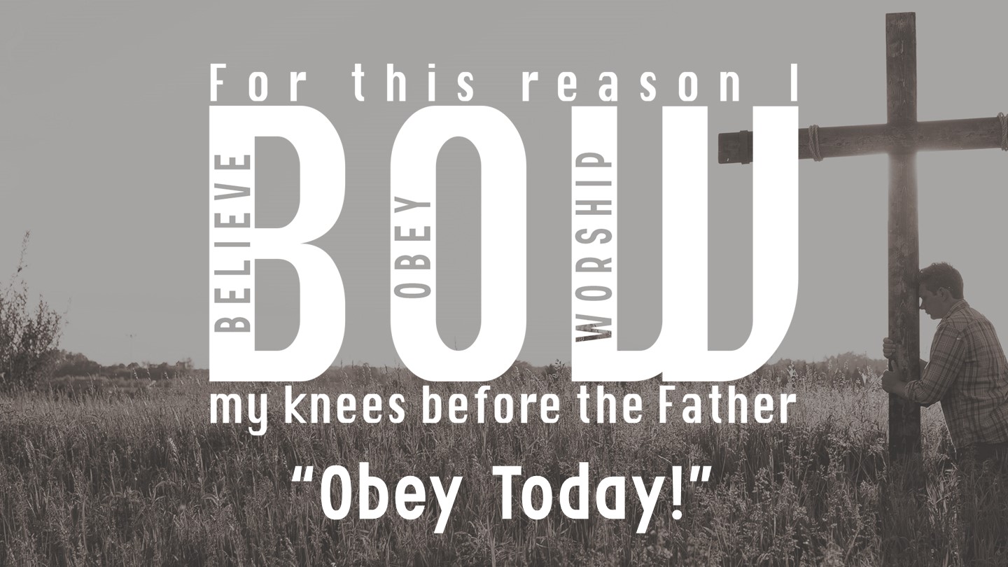 Obey Today! episode artwork