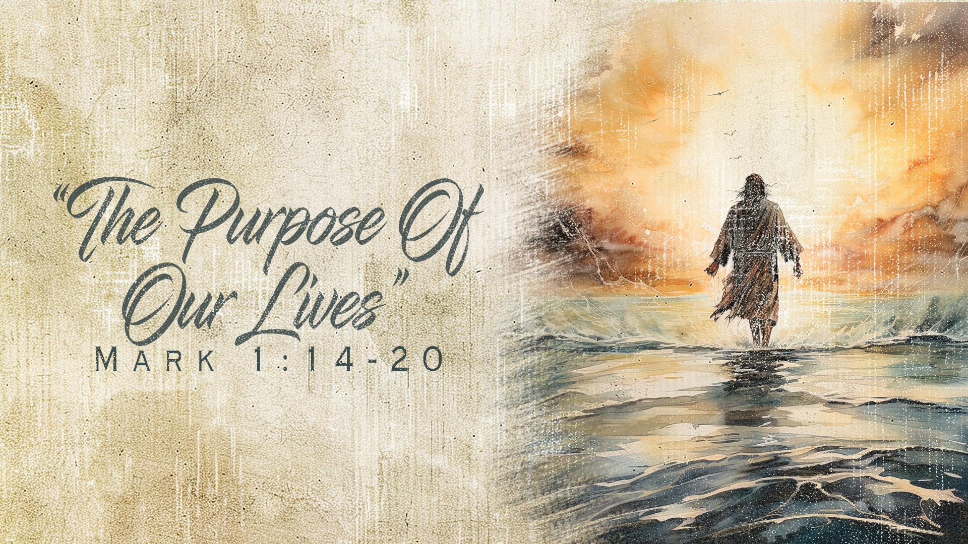 The Purpose Of Our Lives! episode artwork