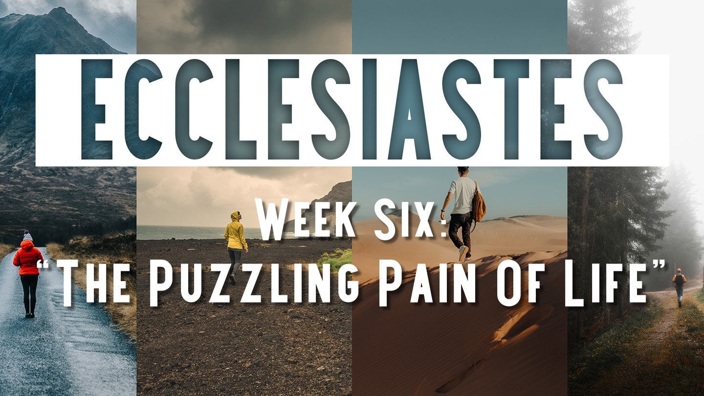 The Puzzling Pain Of Life episode artwork