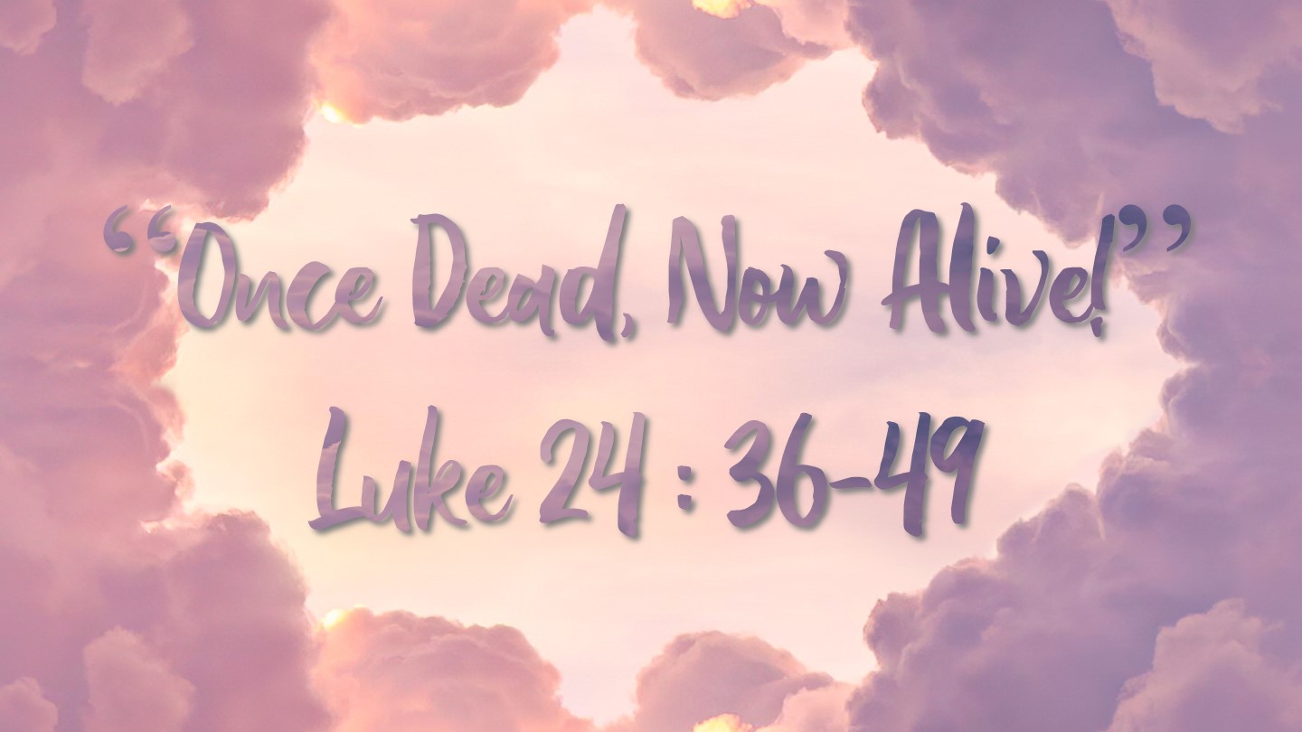 Once Dead, Now Alive! episode artwork