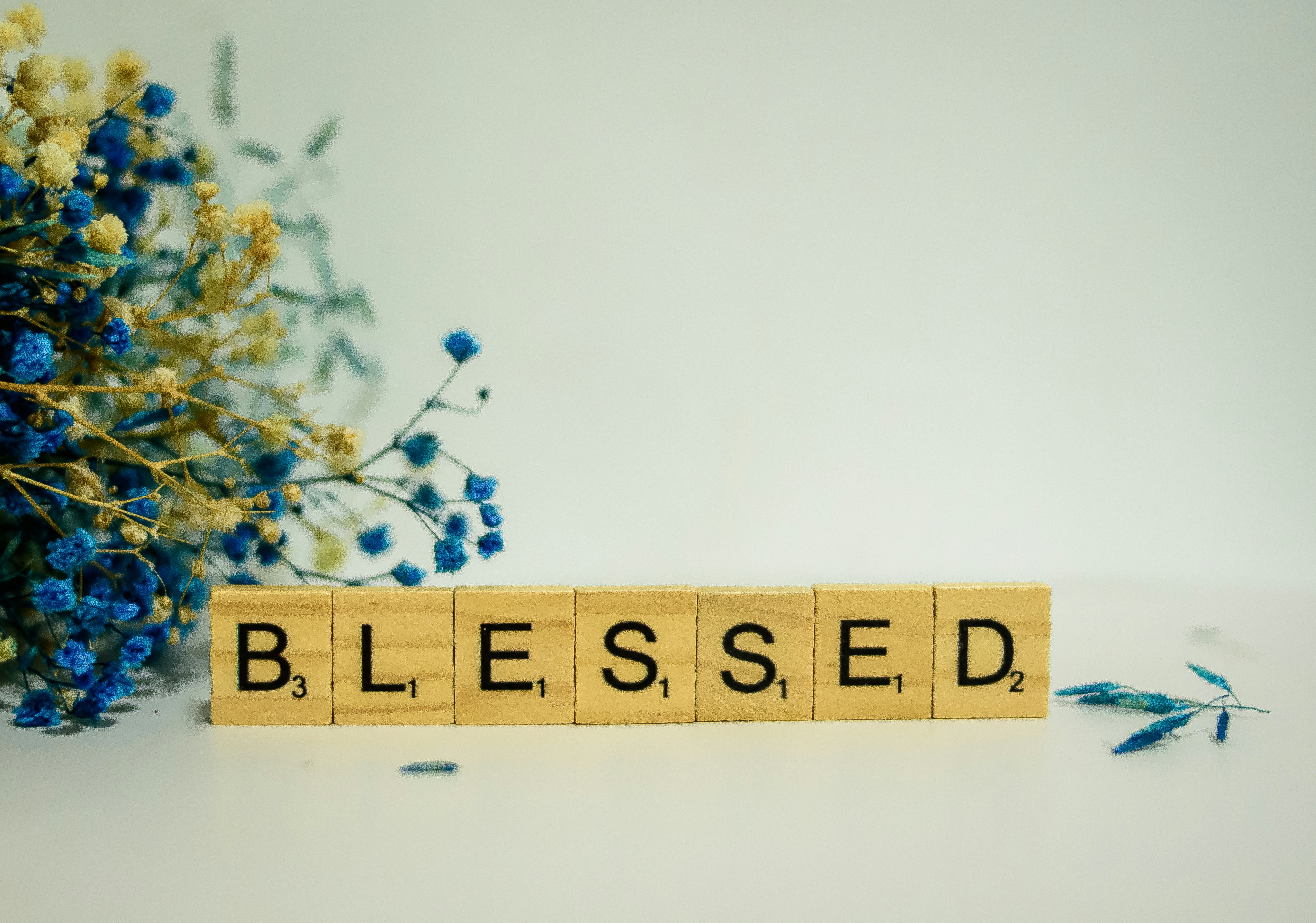 To Believe is to be Blessed episode artwork