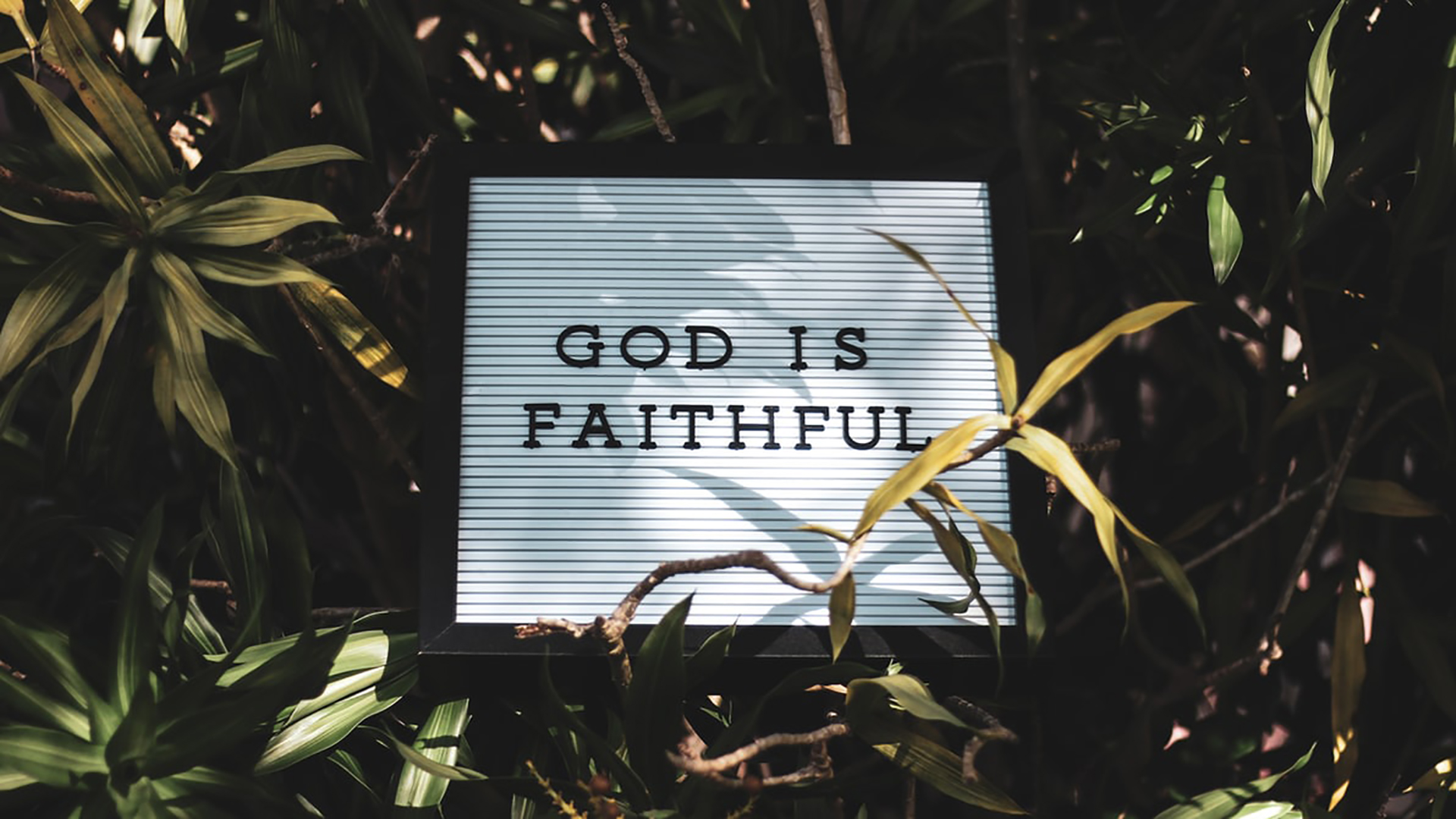 Where Faithfulness Leads episode artwork