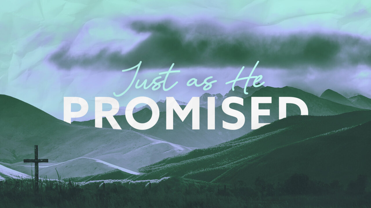 Palm Sunday: The Promised King | Pine Forest Methodist Church