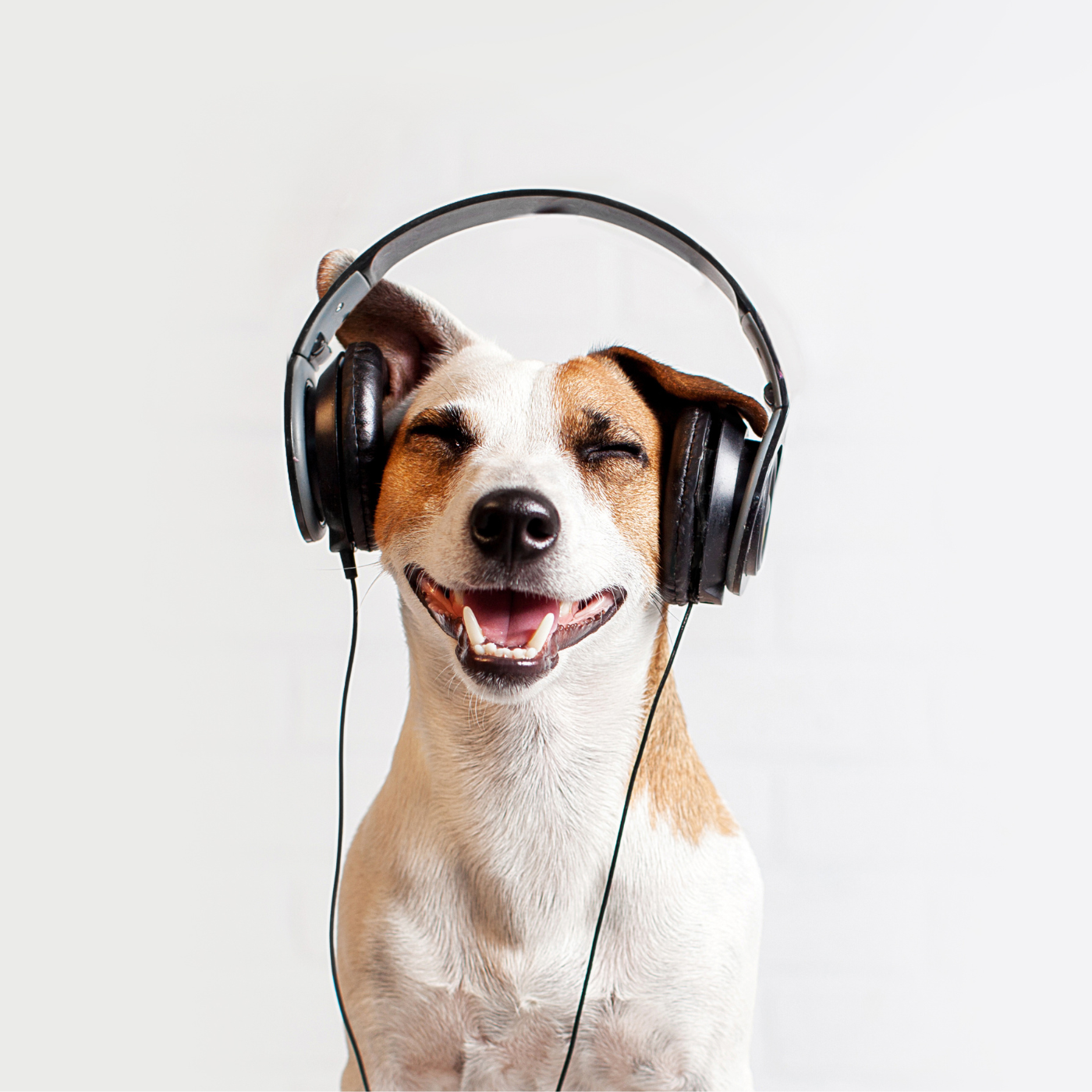 141 | What is Listening, and how do we do it? episode artwork