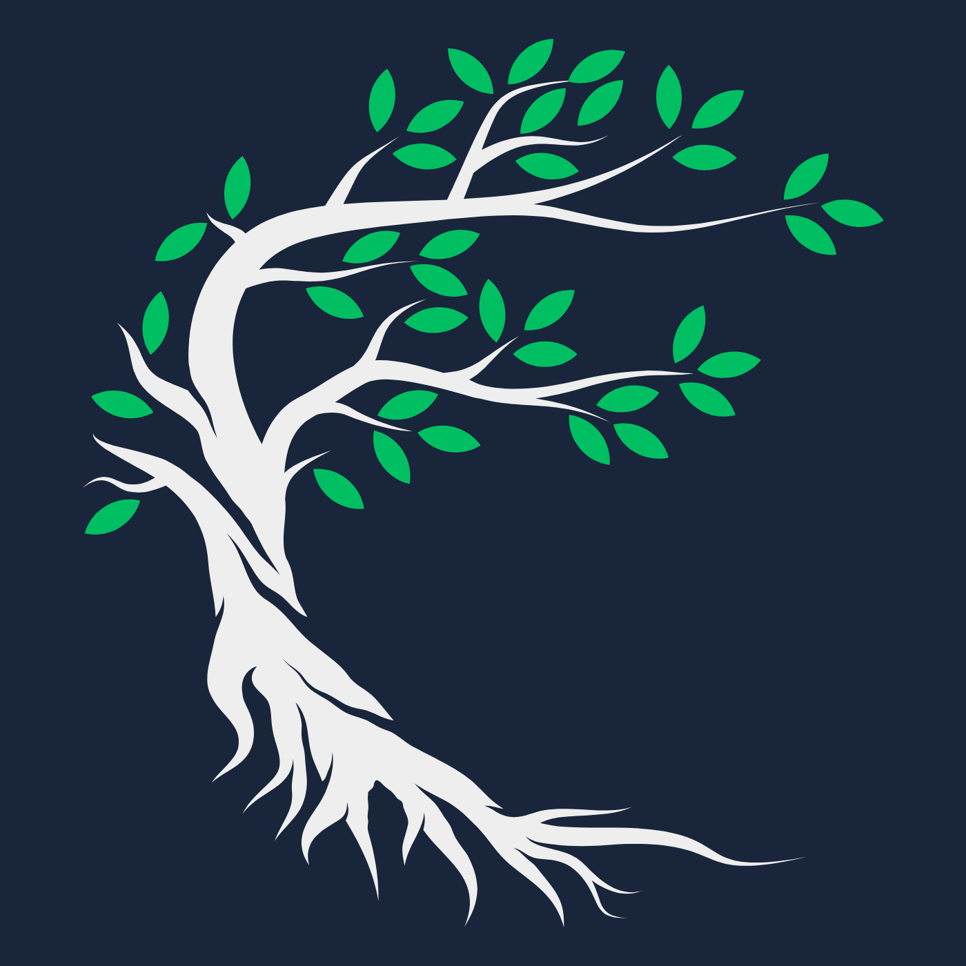 123 | What Are You Rooted In? episode artwork