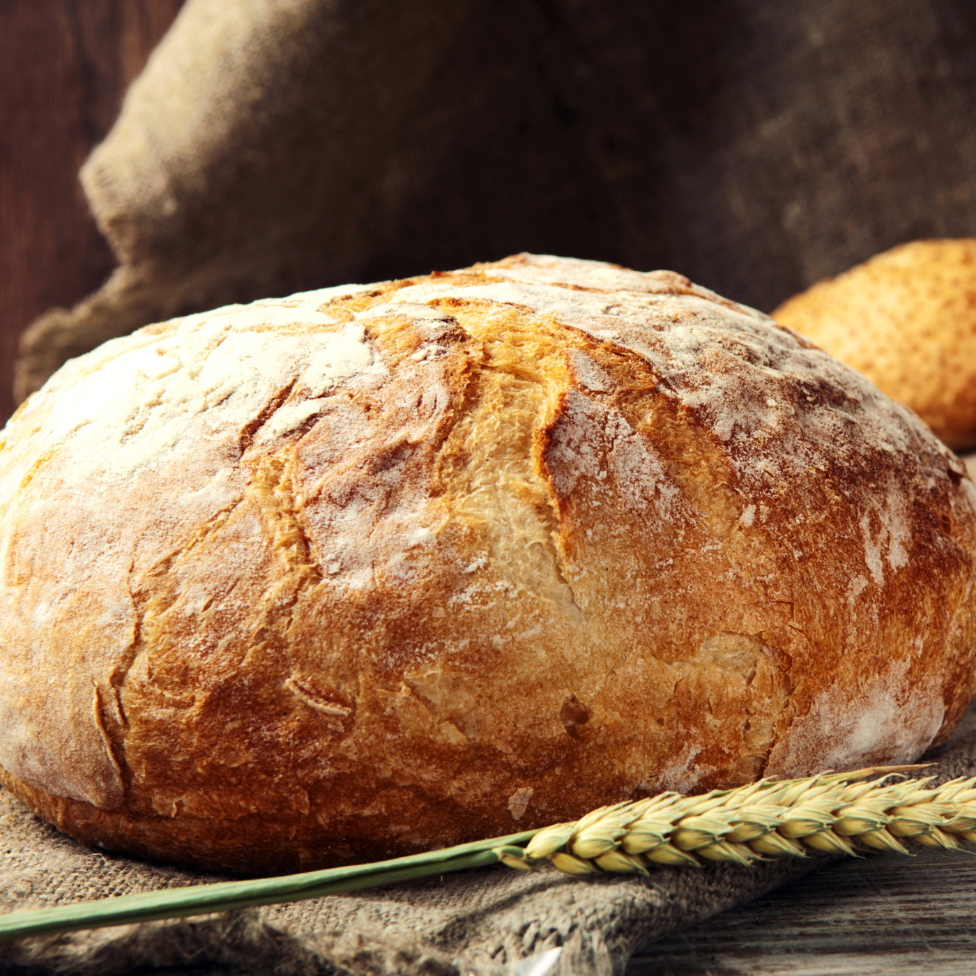 087 | What does it mean to be bread? episode artwork