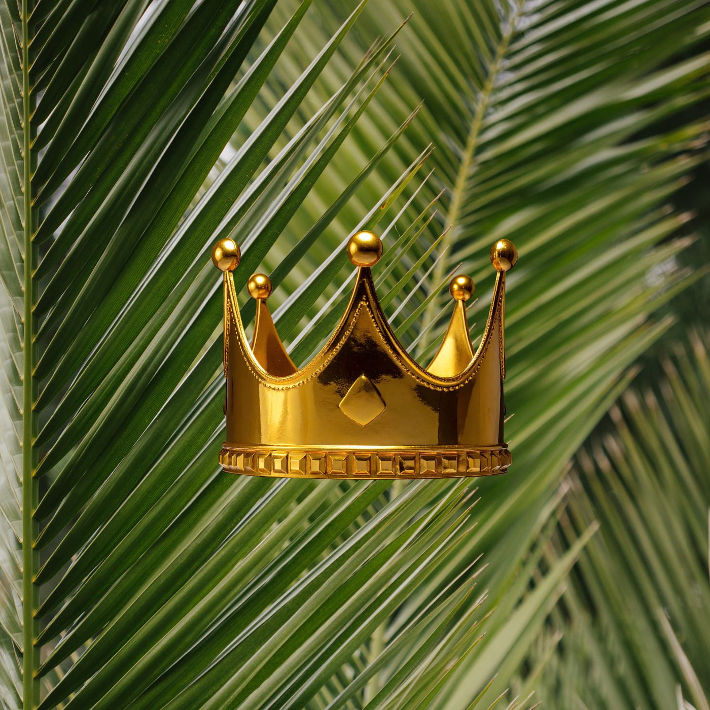 156 | How Do We Respond to the King? episode artwork
