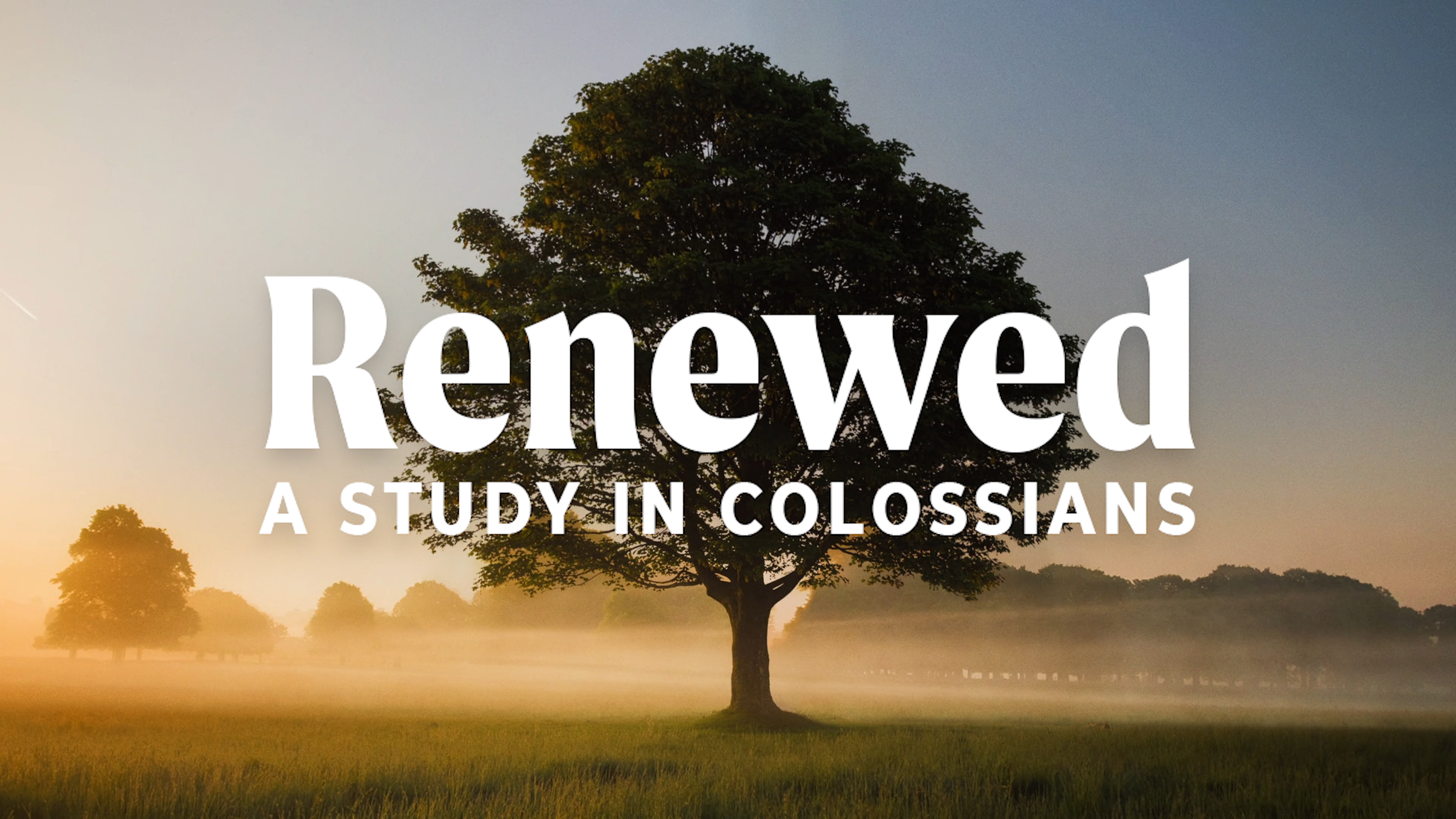 Renewed: Colossians 3:5-11 episode artwork