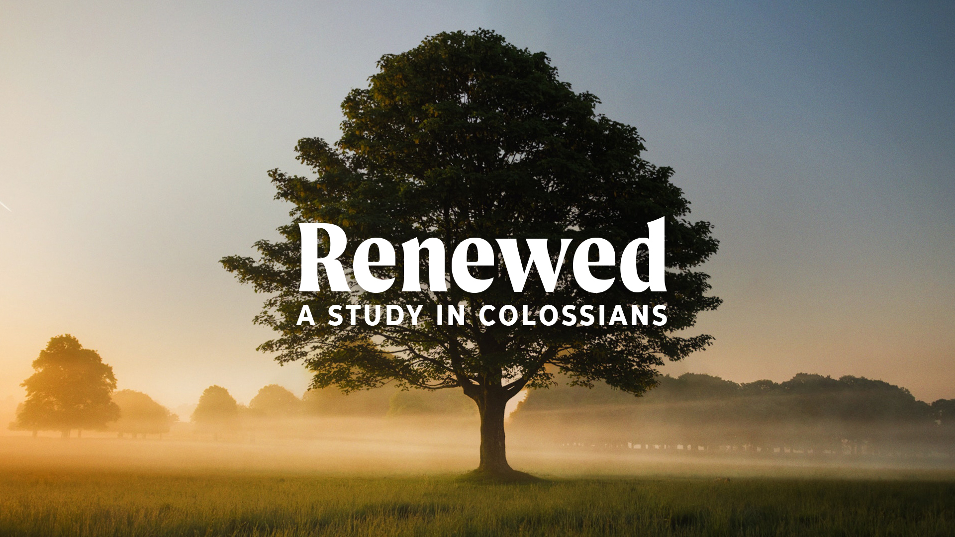 Colossians 4:2-18 episode artwork