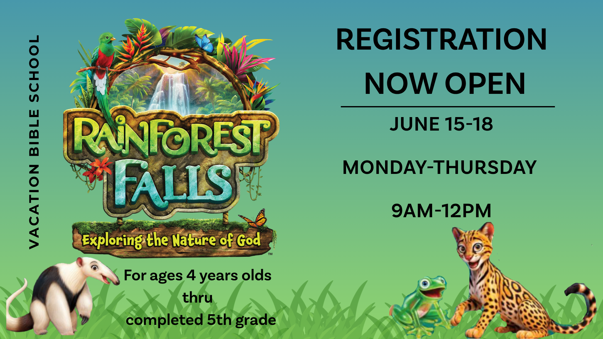 Rainforest Falls Logo with date and time