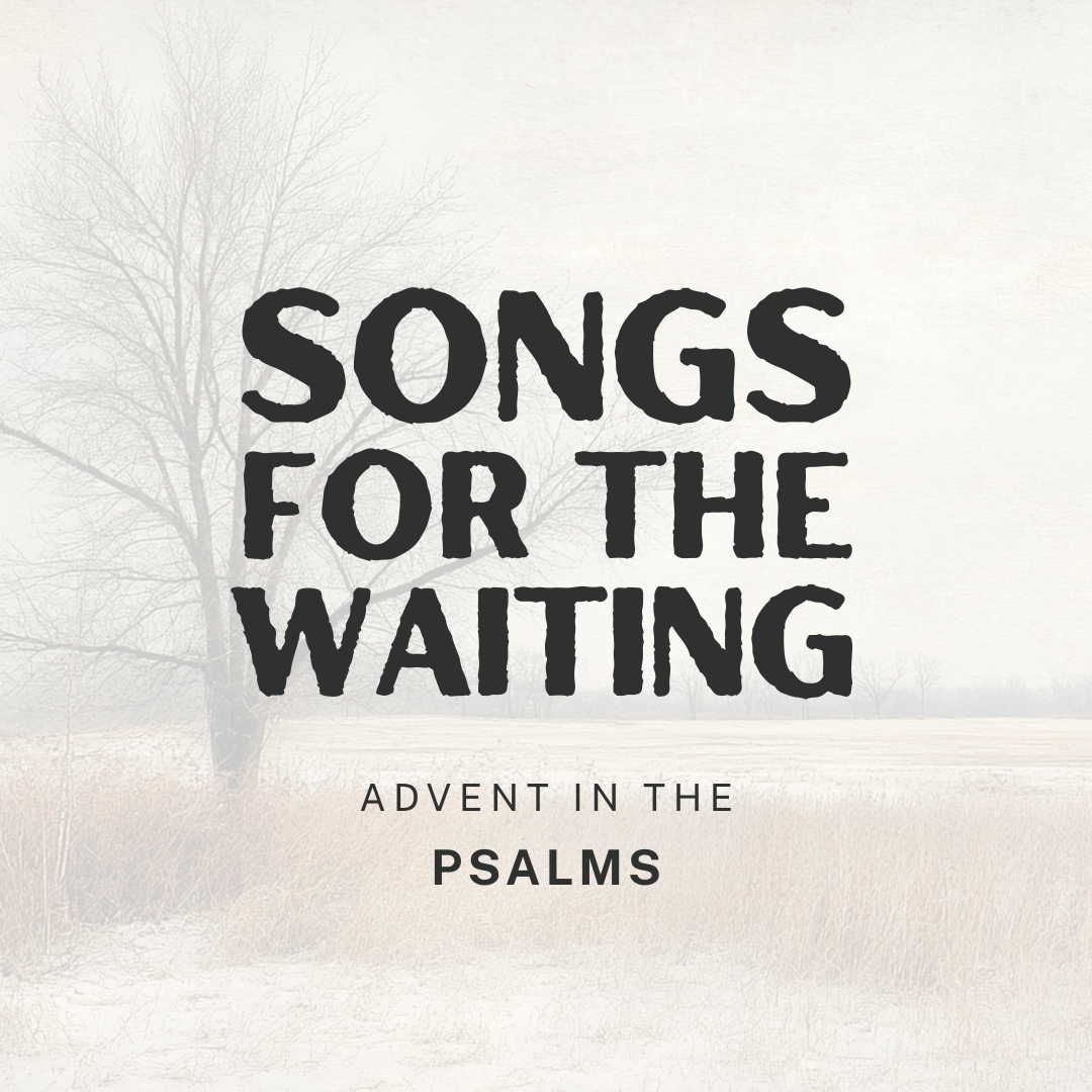 What does God's peace look like? episode artwork