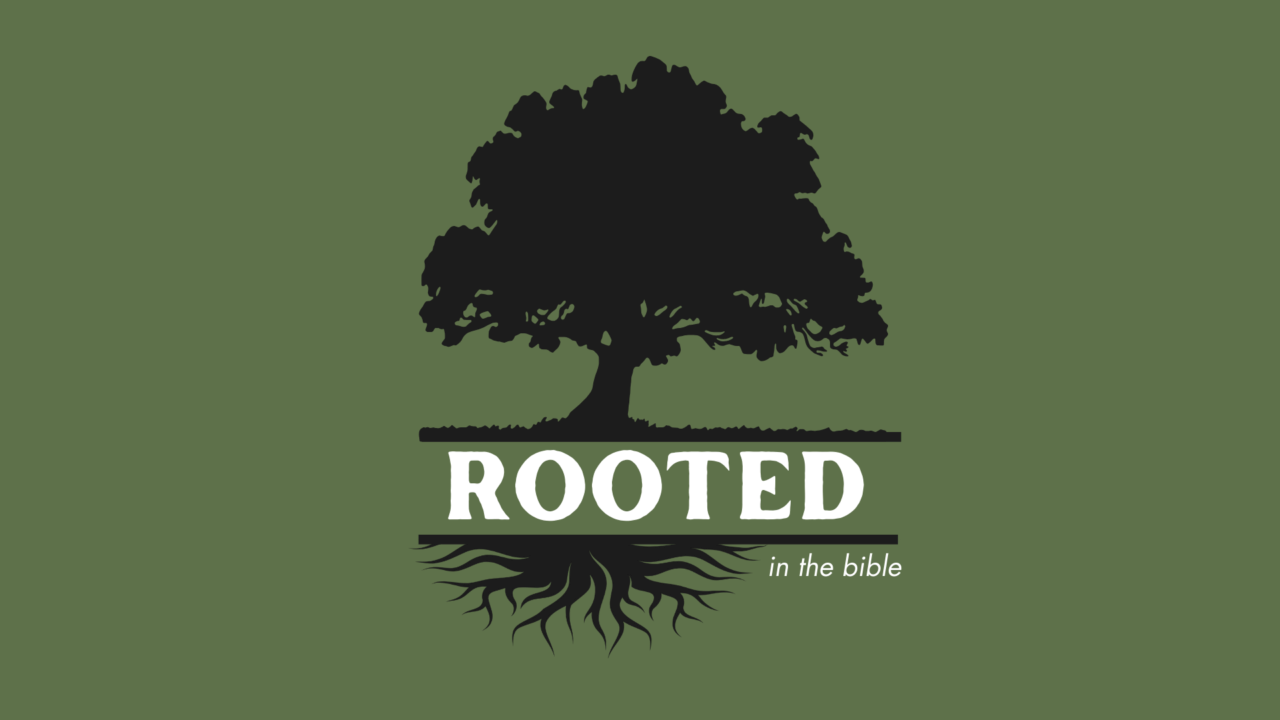 NBUC | Series | Rooted | How to experience God through the Bible ...