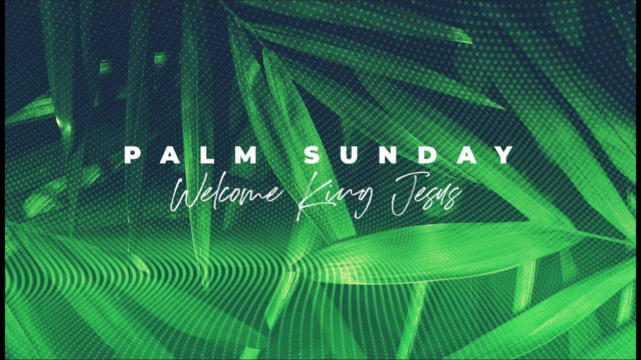 Unmet Expectations - Palm Sunday 2020 episode artwork